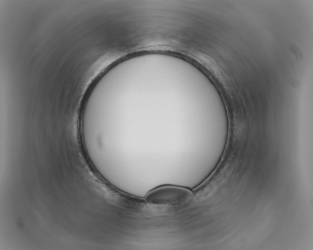 X0000110981277200907171724