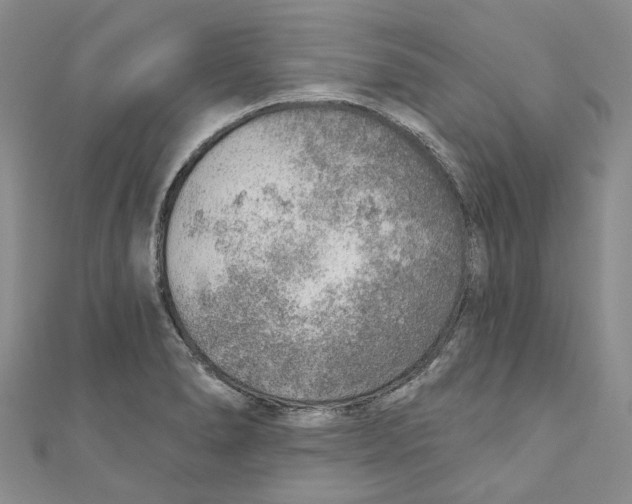 X0000110981278200907171724