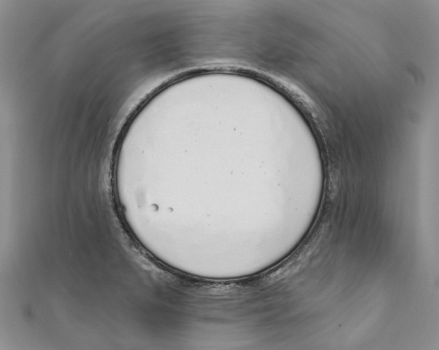 X0000110981279200907171724