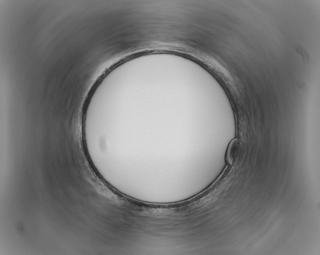 X0000110981280200907171724
