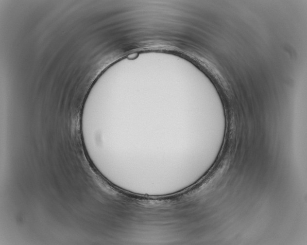 X0000110981281200907171724