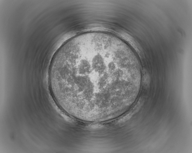X0000110981282200907171724