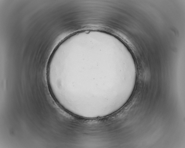 X0000110981283200907171724