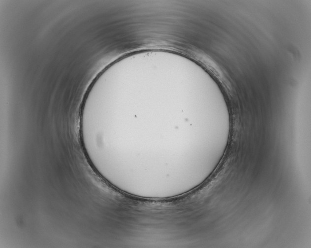 X0000110981284200907171724