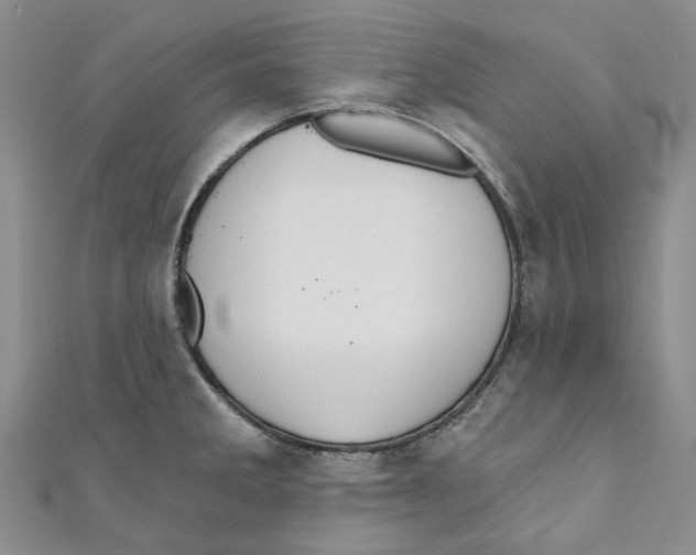 X0000110981285200907171724