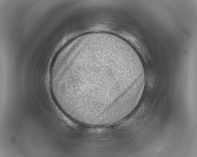 X0000110981286200907171724