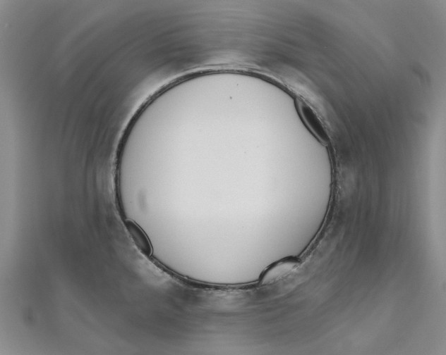 X0000110981288200907171724