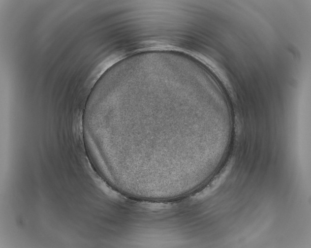 X0000110981289200907171724