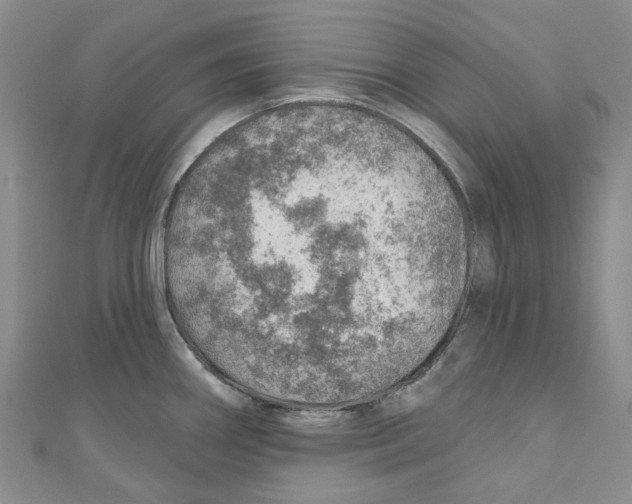 X0000110981290200907171724