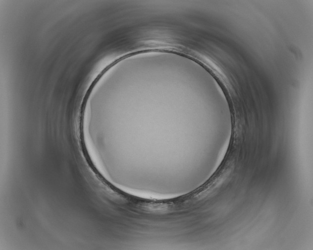 X0000110981291200907171724