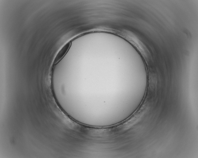 X0000110981292200907171724
