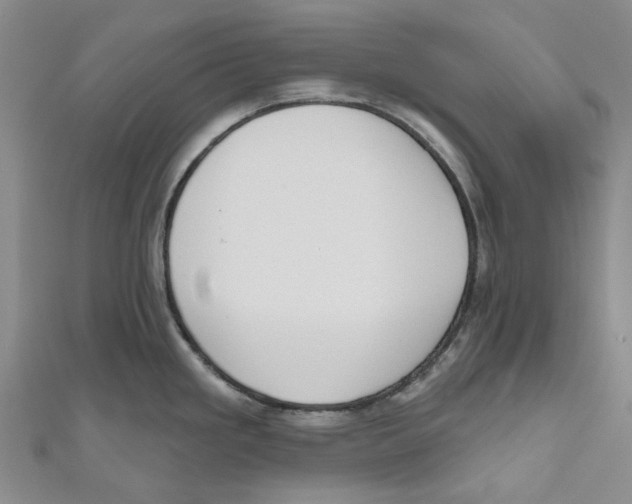 X0000110981293200907171724