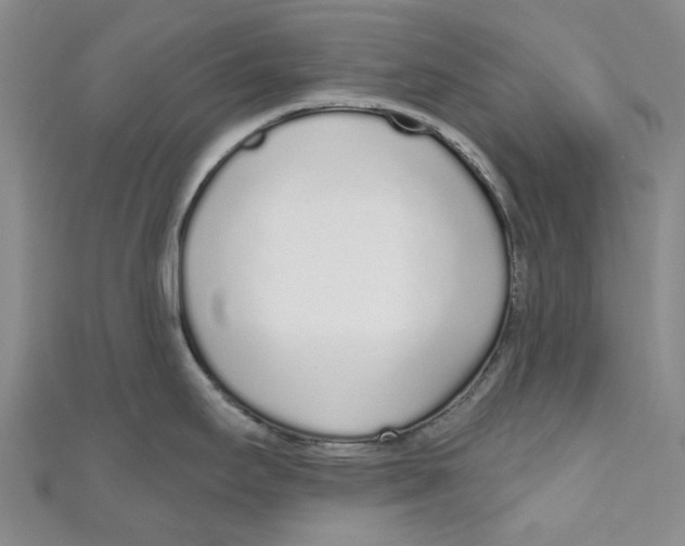 X0000110981295200907171724