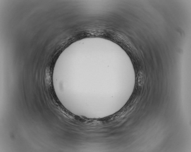 X0000110981298200907171723