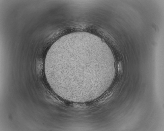 X0000110981299200907171723