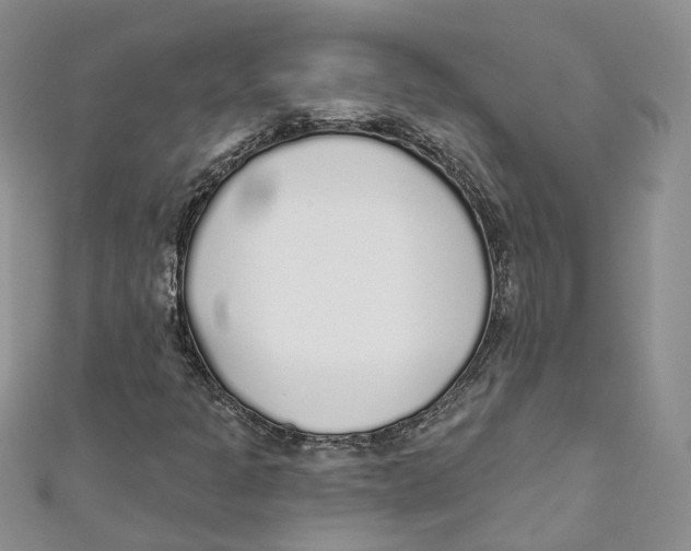 X0000110981301200907171723