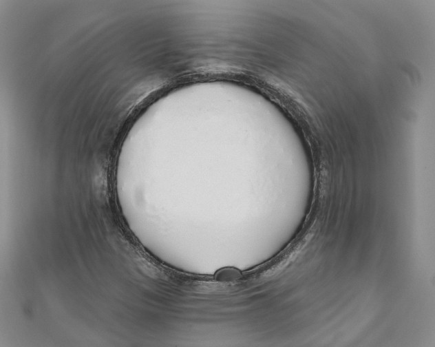 X0000110981305200907171723