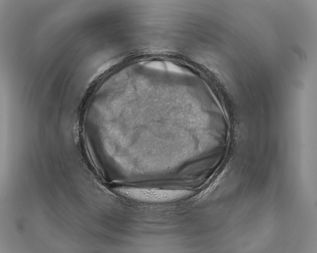 X0000110981306200907171723