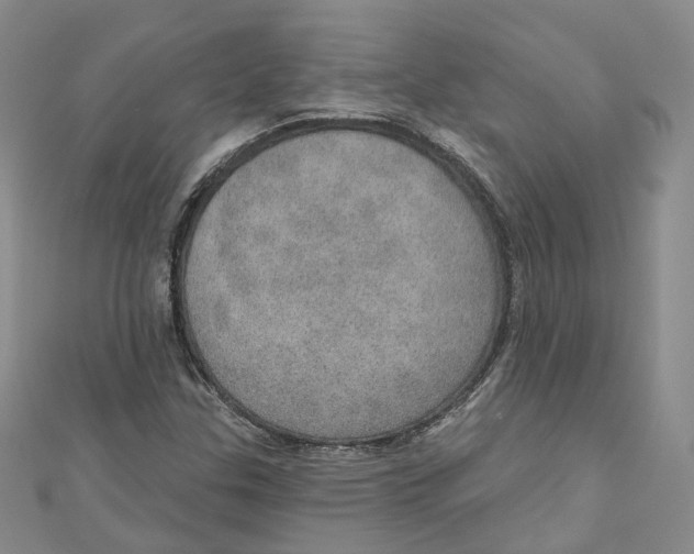 X0000110981307200907171723