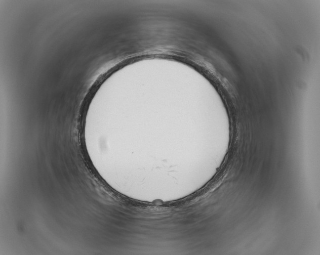 X0000110981308200907171723