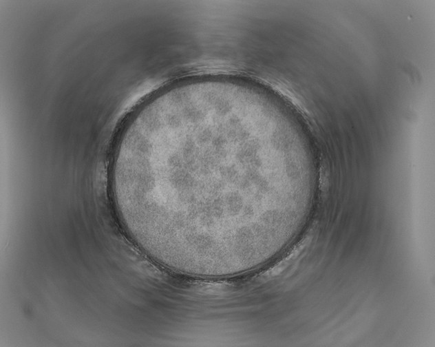 X0000110981309200907171723