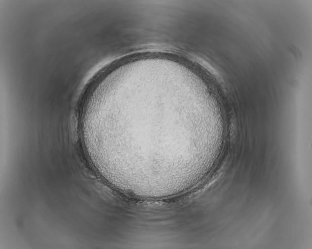 X0000110981310200907171723