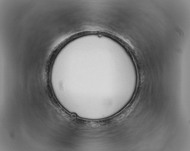 X0000110981311200907171723