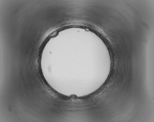 X0000110981312200907171723