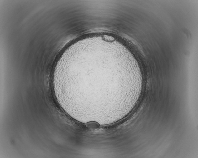 X0000110981313200907171723