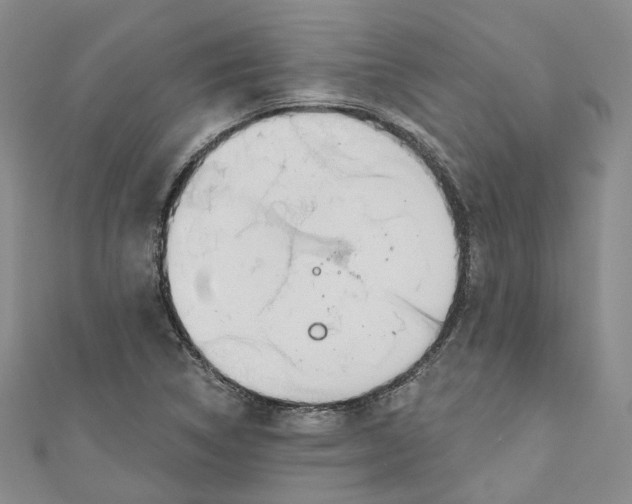 X0000110981314200907171723