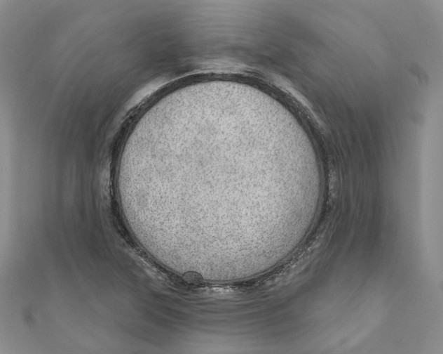 X0000110981315200907171723