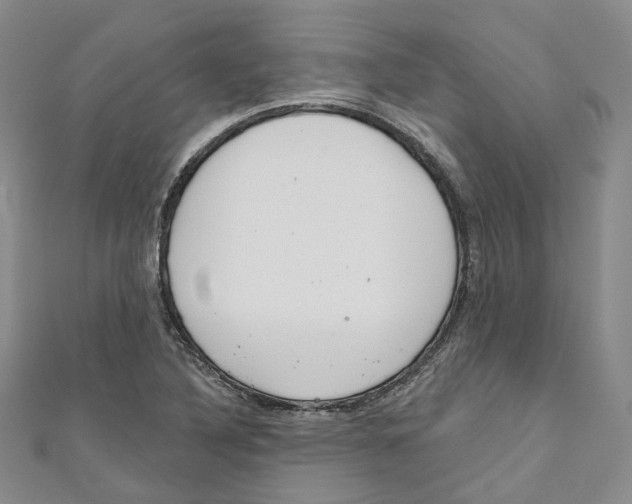 X0000110981316200907171723