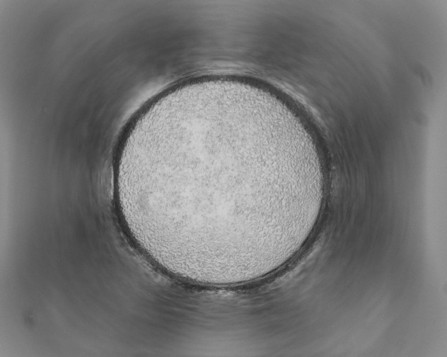 X0000110981317200907171723