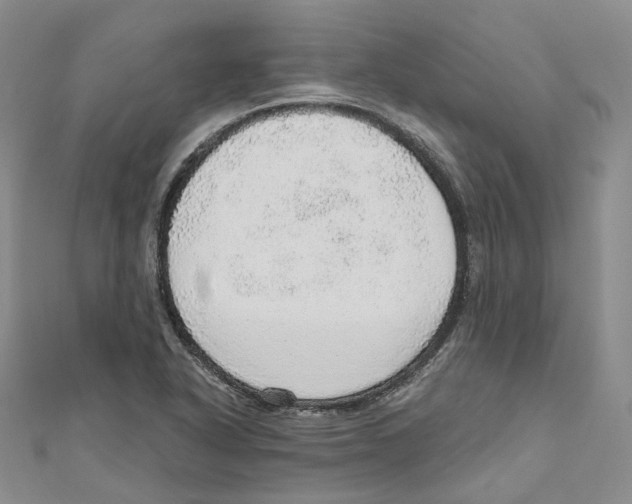 X0000110981318200907171723