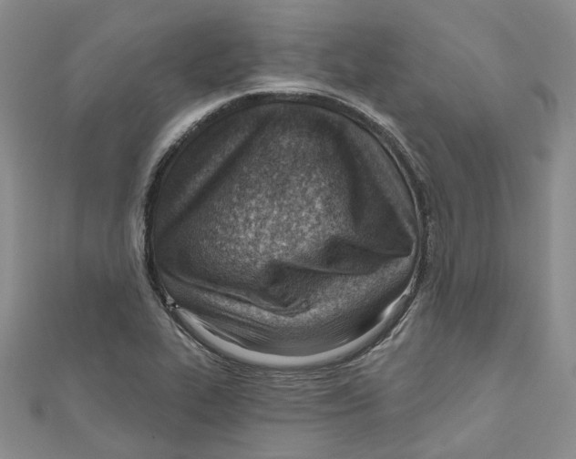 X0000110981319200907171723