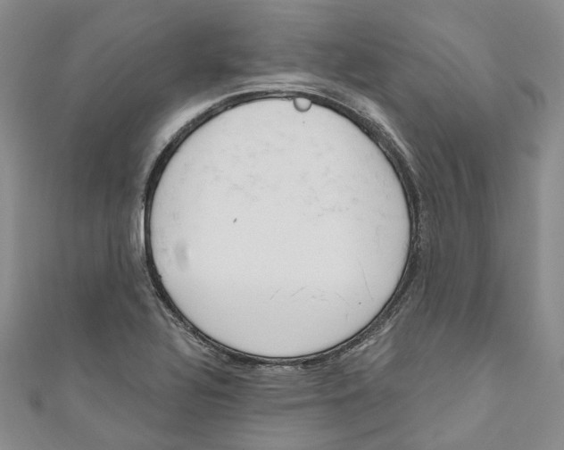 X0000110981320200907171723