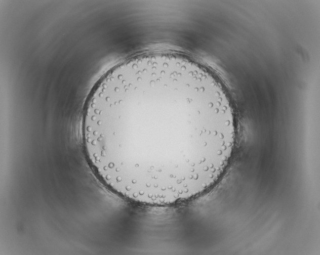 X0000110981322200907171723