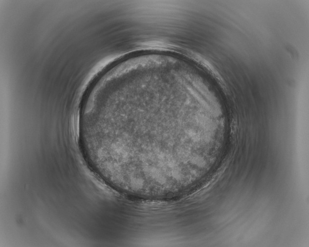 X0000110981323200907171723