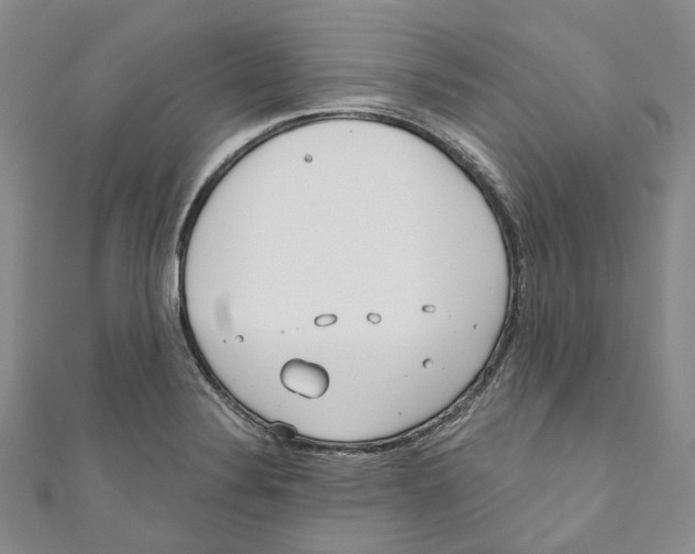 X0000110981324200907171723