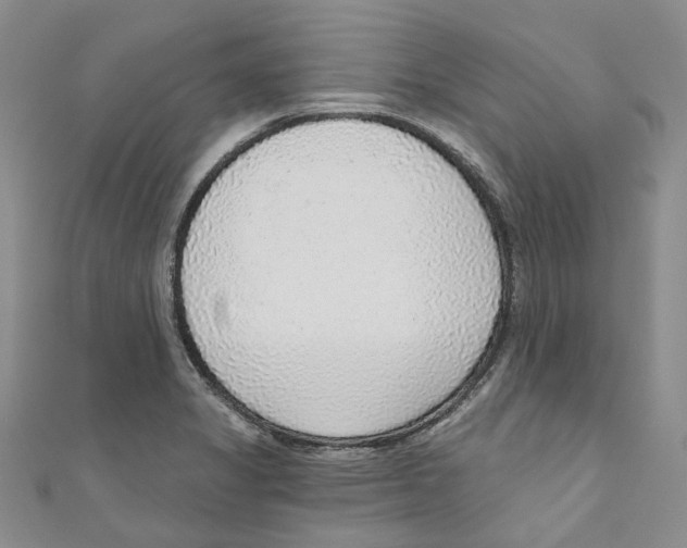 X0000110981325200907171723