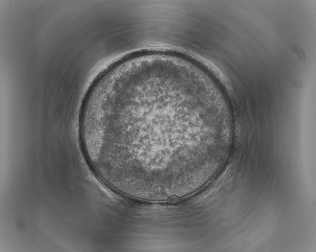 X0000110981327200907171723