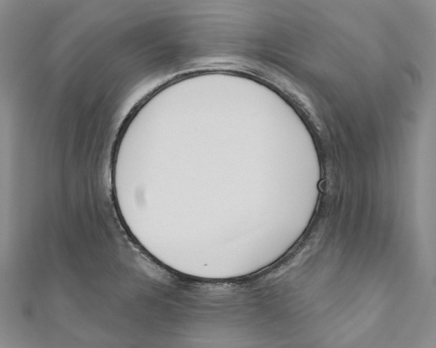 X0000110981328200907171723