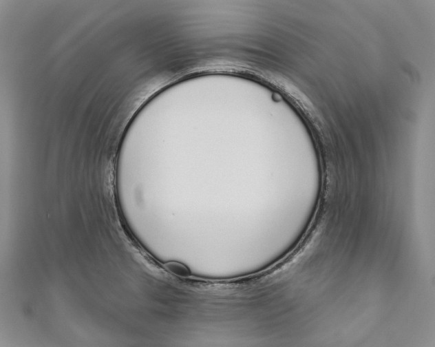 X0000110981329200907171723