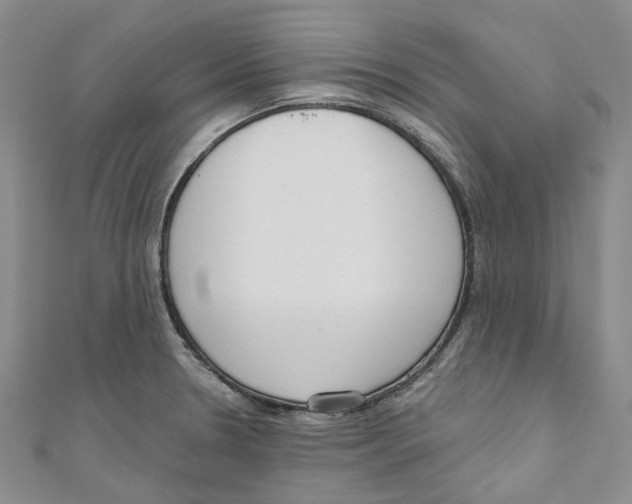 X0000110981330200907171724