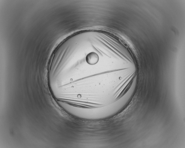 X0000110981332200907171724