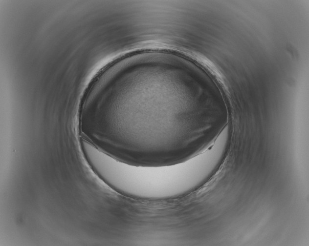 X0000110981334200907171724
