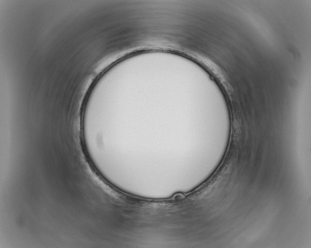 X0000110981335200907171724