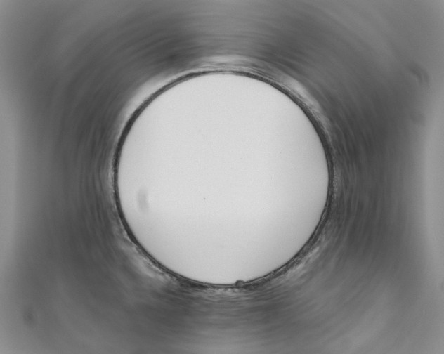 X0000110981336200907171724