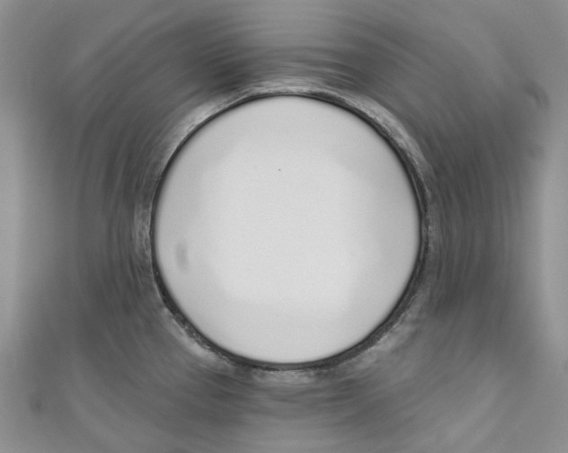 X0000110981337200907171724