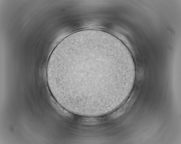X0000110981338200907171724